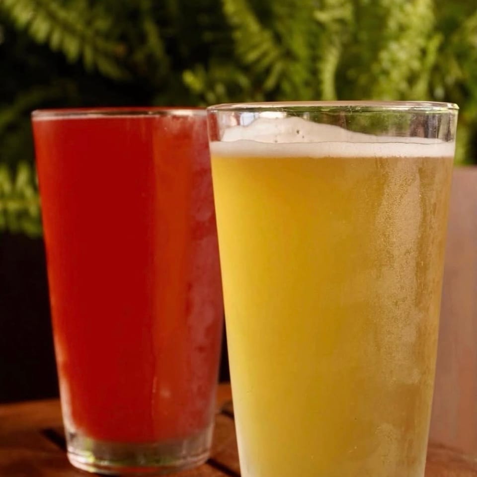 Two tall glasses of beer, one golden and foamy and one red, sit on a wooden table surrounded by greenery.